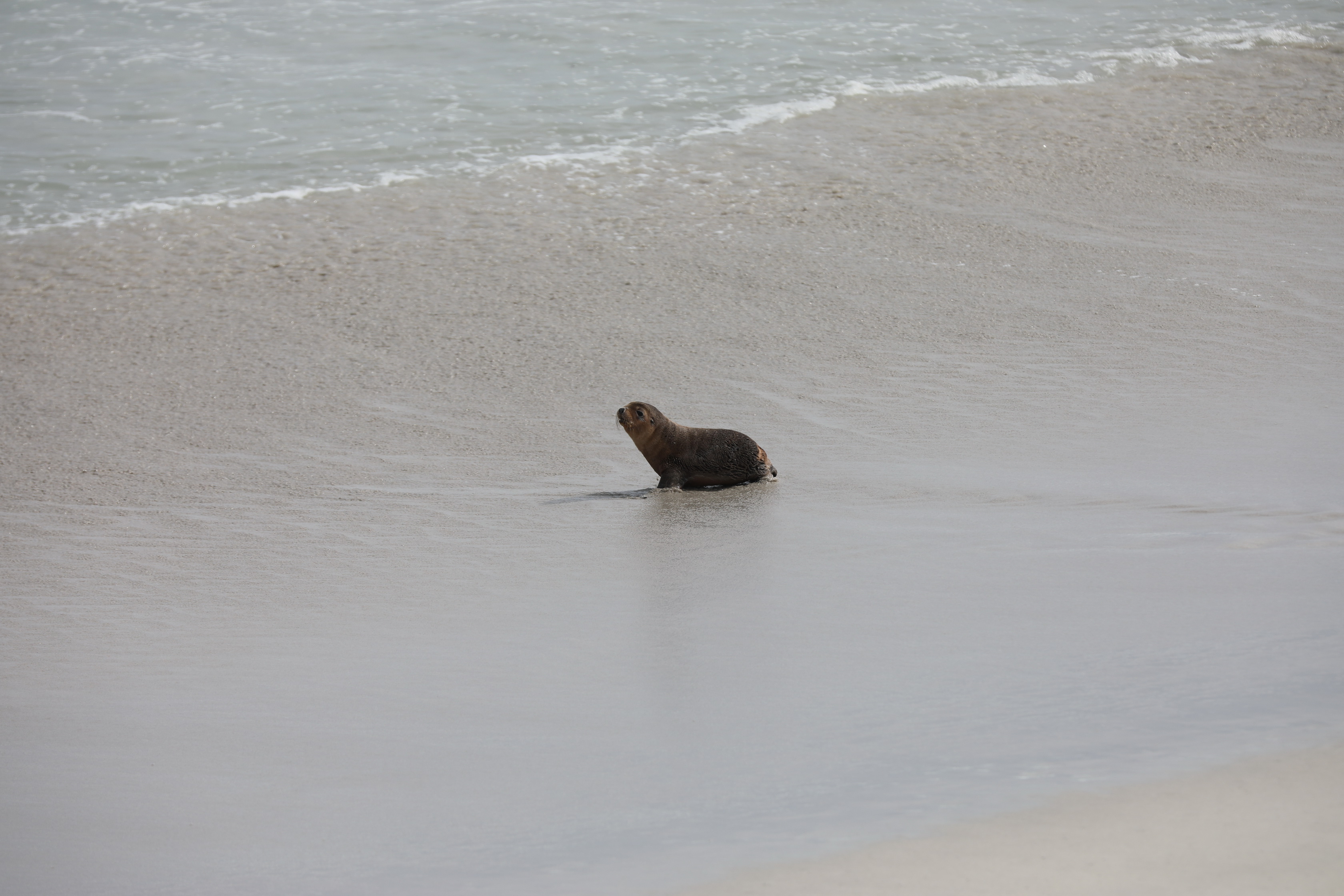 2019 09 29 13 50 59 Canon EOS 5D Mark IV 0040